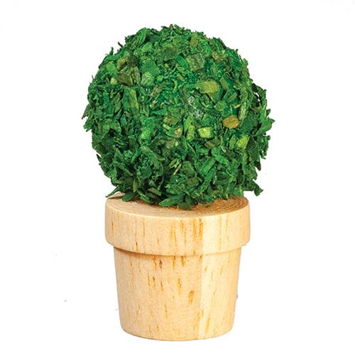Green Plant in Pot